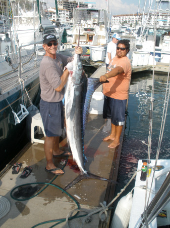 First Striped Marlin of the Season, winter is coming now!