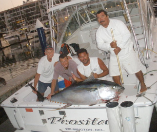 Big Yellowfin Tuna 200lbs