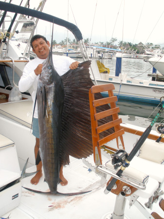 Nice Sailfish for Magnifico and Capt. Cesar