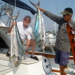 Rooster  Fish on Magnifico with Angler Steve Orcutt