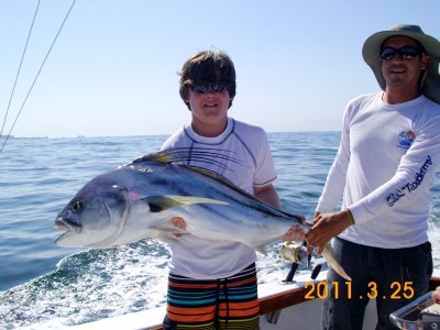 Rooster Fish at the Marietta Islands, Griffin Chartonnett , Magnifico