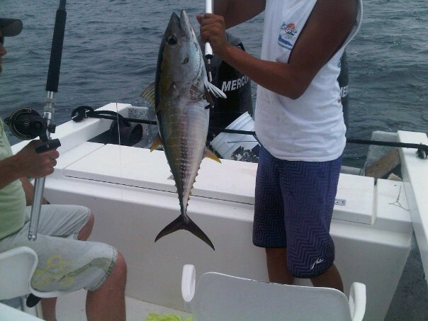 Yellowfin Tuna Football on Animal House, Coutersey of Michele Crosby