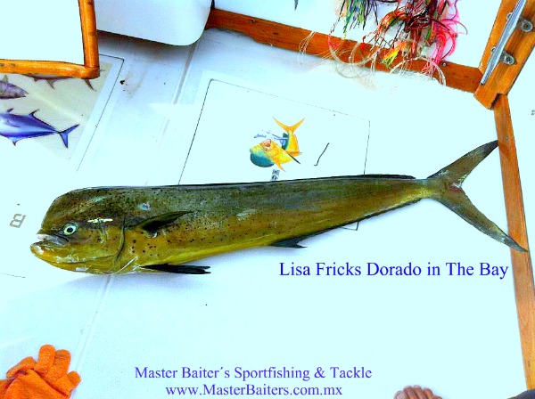 Dorado on the Trah Line, Lisa Fricks Fish!!