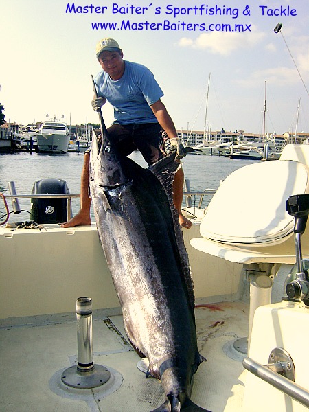 Blue Marlin, 350 lbs, Corbeteña