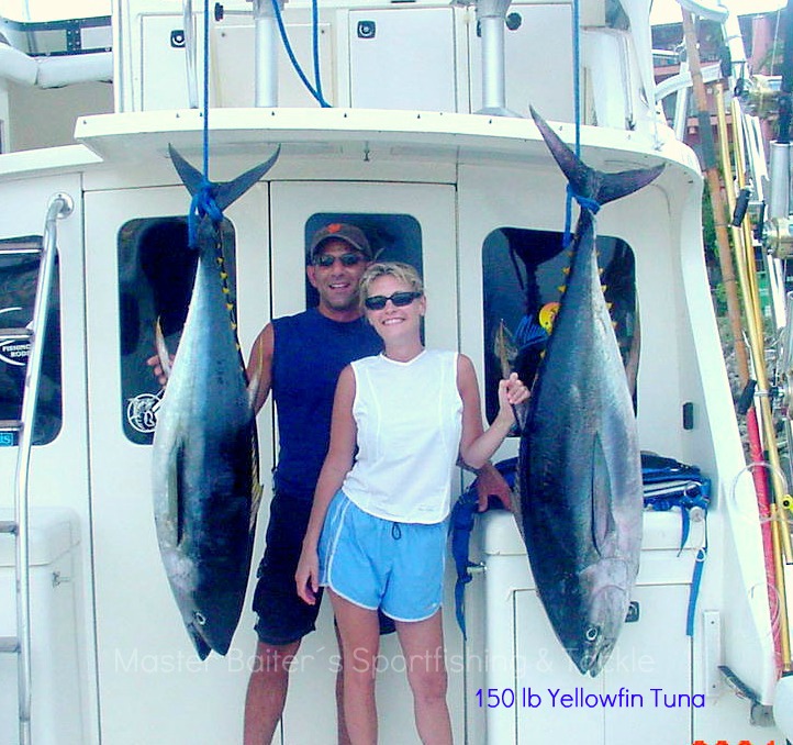 Perfect Conditions: Blue Water, Bait and Yellowfin Tuna @ 150 lbs Hit El  Banco / Corbeteña, - Master Baiter's Sport Fishing & Tackle Puerto Vallarta