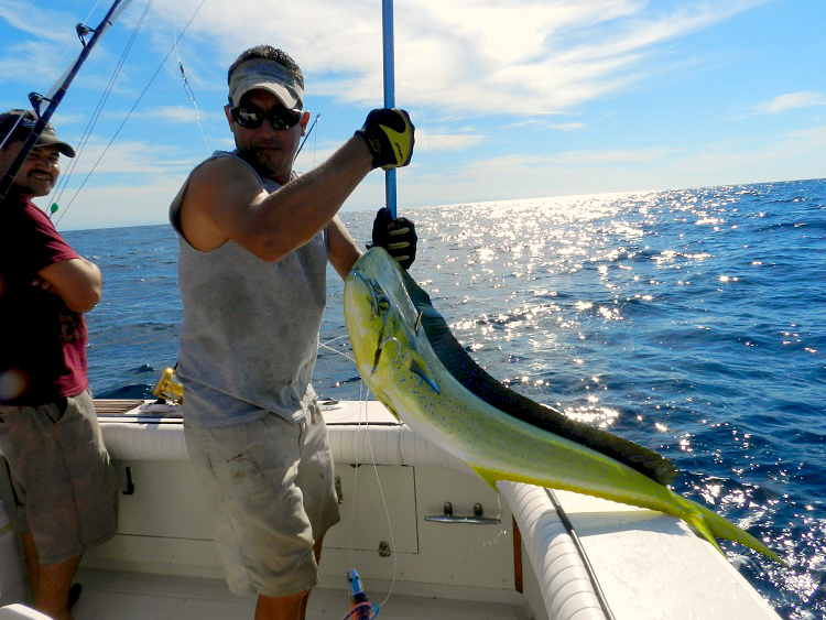 Dorado at the Gaff at the Marietta Islands, this is our first mate Lobo.... Nice Dorado  as well... www.masterbaiters.com.mx