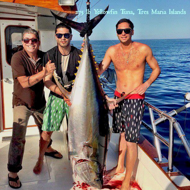 Larry and the boys YellowfinTuna 275 MBSP article pic