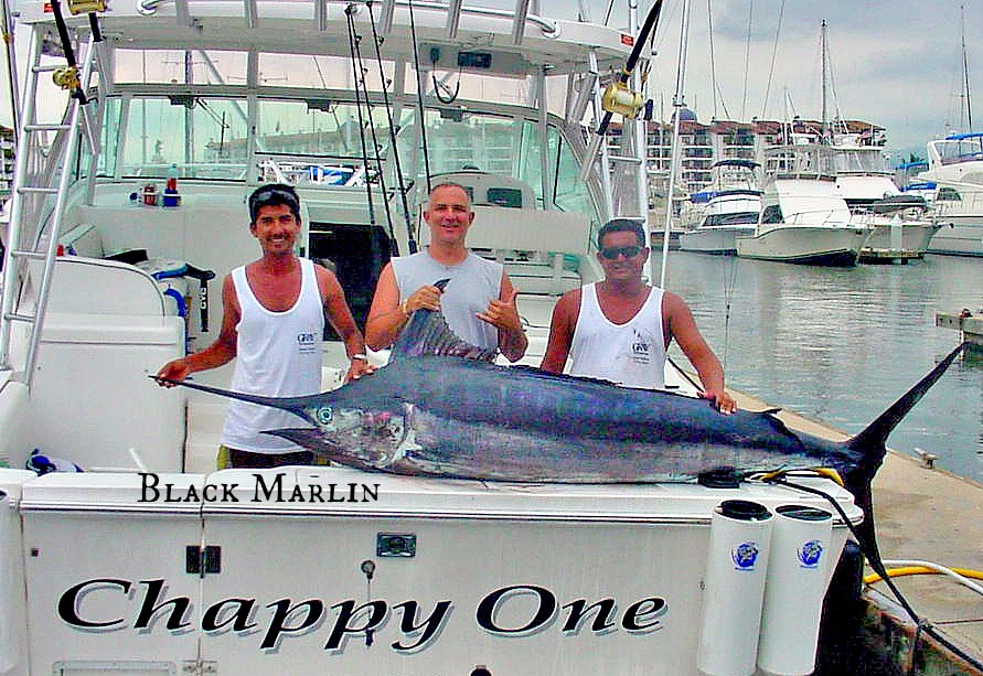 Black Marlin June 9 2013