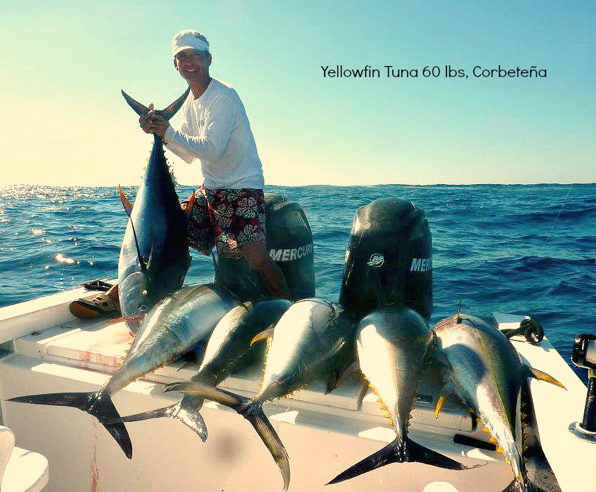 03 05 2012 Yellowfin Tuna 60lbs off El Banco Discriptive text only