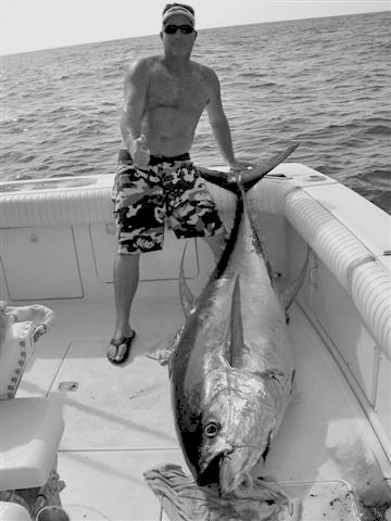 Monster Yellowfin Tuna Jeff Illingsworth
