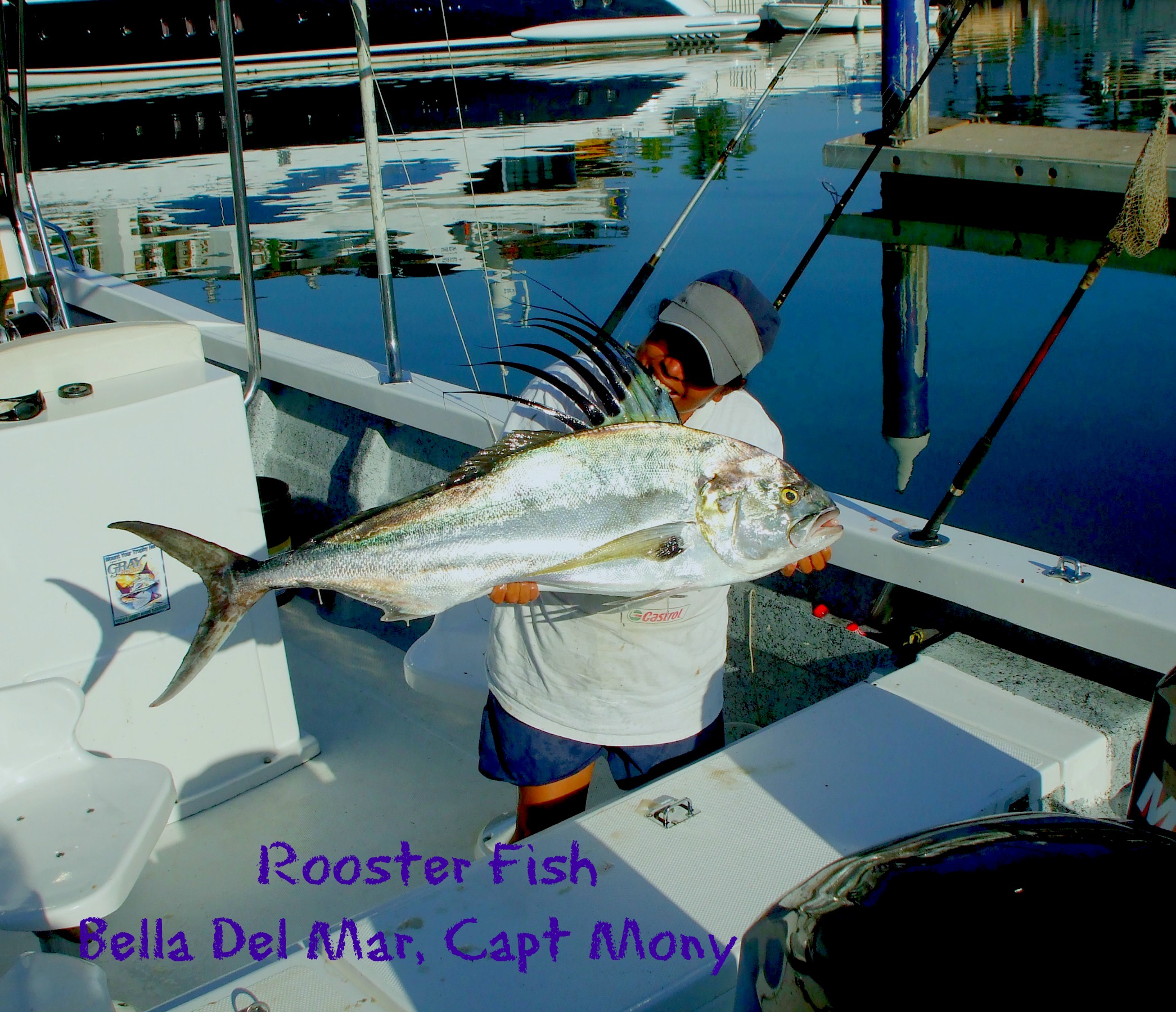 03 26 2014 Rooster Fish, Bela Del Mar, 8 hrs, Full size