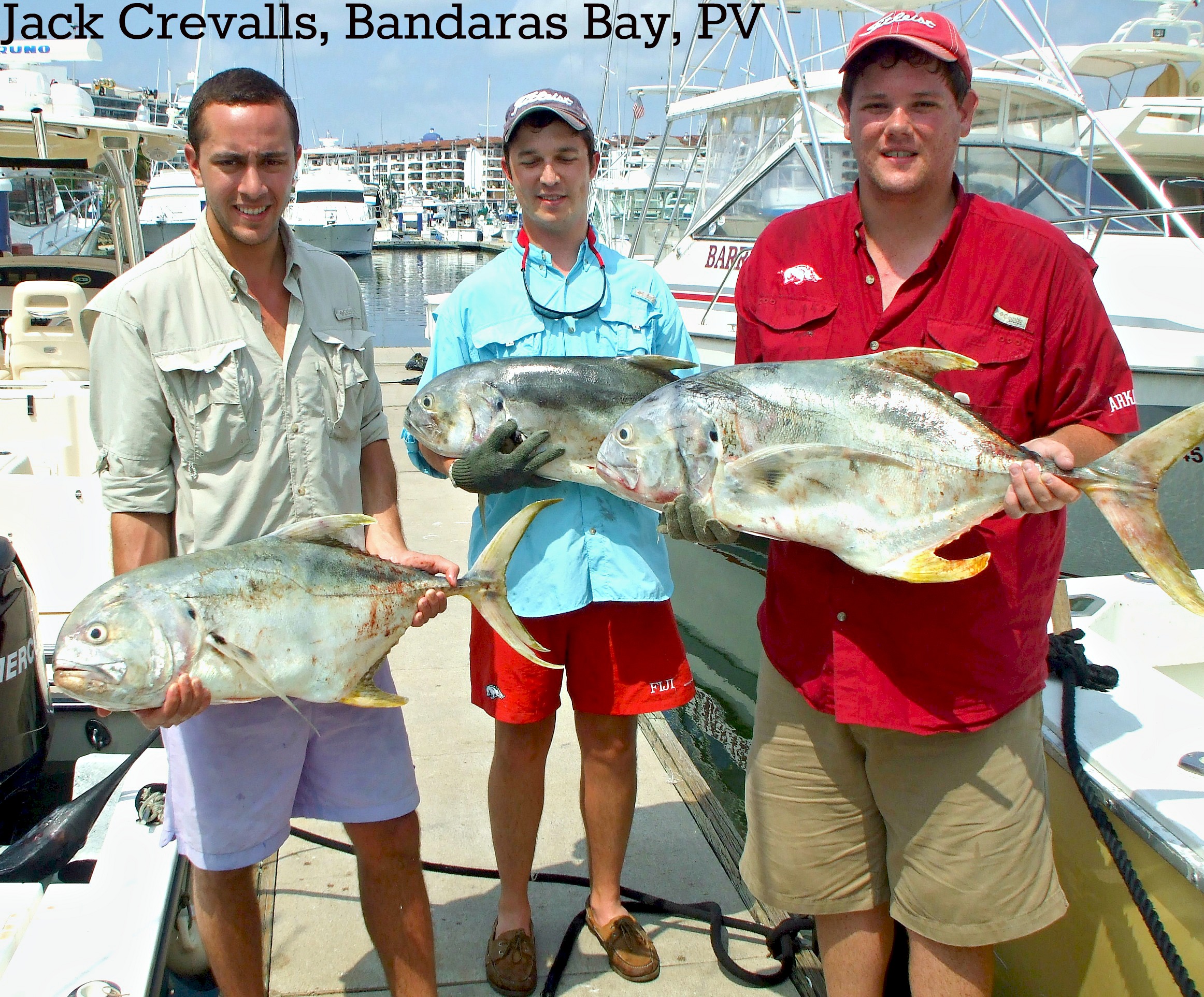 09 13 2014 Magnifico Jack Crevalls, Bay fishing