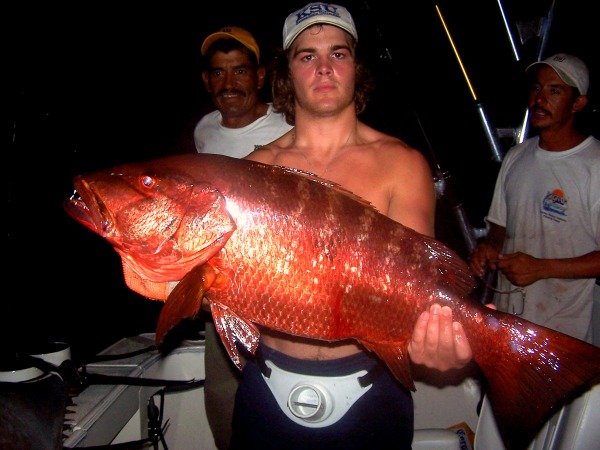 Snapper, Giant Dog Tooth Pargo