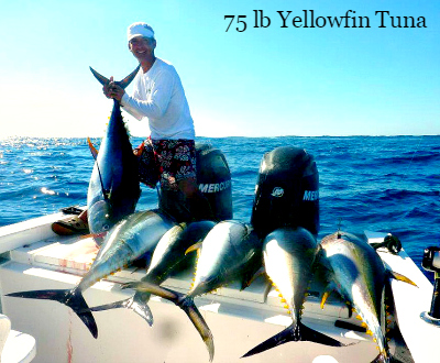 11 01 2014 Yellowfin Tuna 60lbs off El Banco