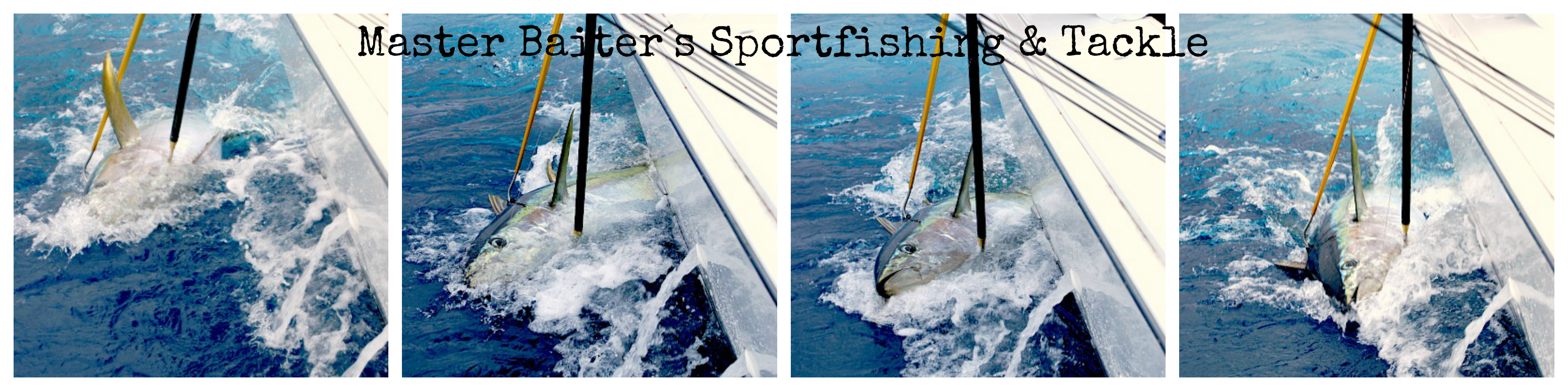 11 21 2014 Yellowfin Tuna Gaff Collage MBText