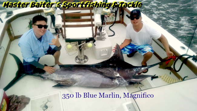 06 12 2015 Blue Marlin 350 lbs, Magnifico, Punta Mita MBText