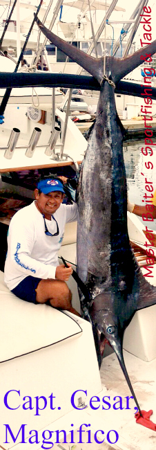 06 12 2015 Blue Marlin 350 lbs, Magnifico, wCapt Cesar 650 Pxls MBText