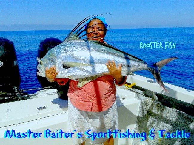 07 04 2015 Rooster Fish, Bella Del Mar 650 pxls MBText