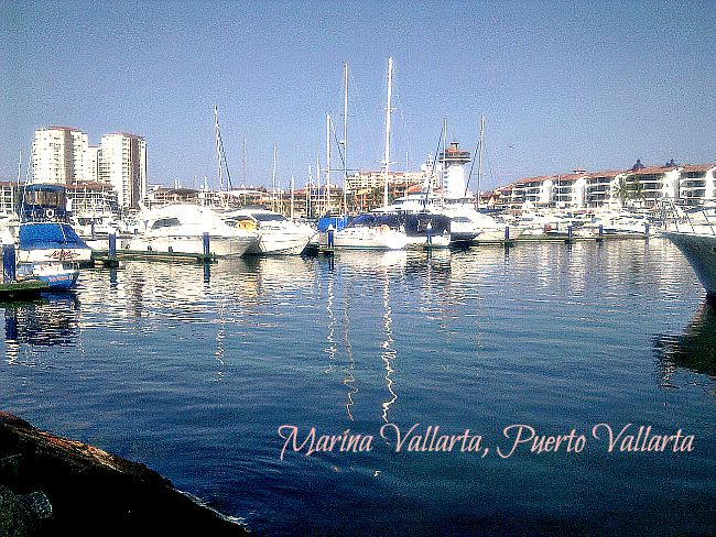 Marina Vallarta Morning