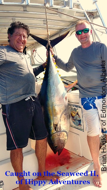 10 11 2015 Yellowfin Tuna, Brian, Hittpy Adventures, Corbeteña