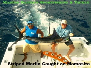 01 11 2016 Striped marlin on Mamasita 8 hrs, Punta Mita, 500 pxls MBText