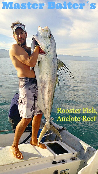 75 lb Rooster Fish caught in Sayulita off the Anclote Reef area 