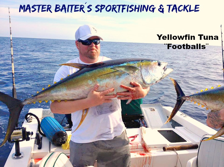 02 16 1206 GuanaTuna, Yellowfin Tuna 80 lbs Raw Photo 2  650 Pxls MBText