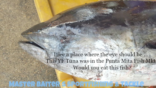 Where is the eye on this Yellowfin Tuna which is for sale in one of the Punta Mita Fish Markets?? Is it deformed, sick, poisoned ? 