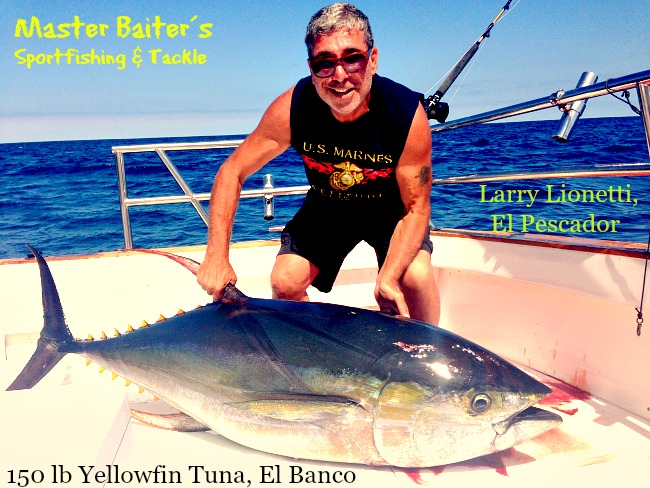 Larry Lionetti with his 130 lb Yellowfin Tuna boated off the high spots of El Banco on Pescador