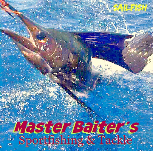 Capt Cesar of Magnifico Got this image at the right time just before it was released. Sailfish numbers have increased drastically around El Morro and Punta Mita
