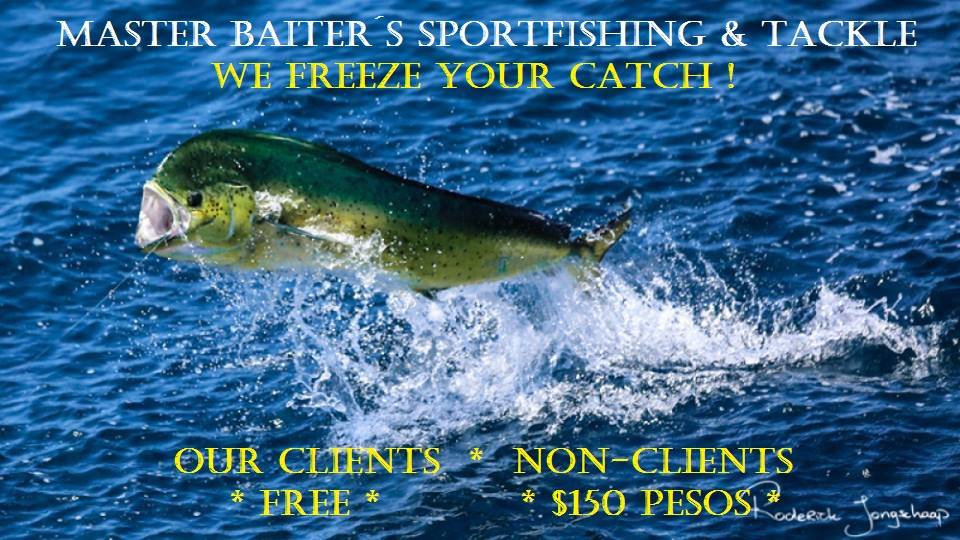 Master Baiter´s is the only company in Puerto Vallarta that offers Free Fish Freezing to our clients. Once again we Support Our Clients with Necessary Services. Fish with someone else, we´ll still help, but it will cost you....
