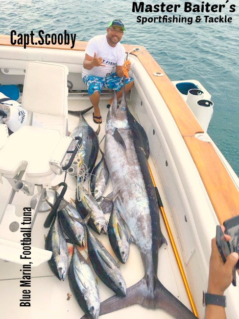 Capt.Scooby one again at El Banco with a nice Blue Marlin and a Bunch of Skippies !  