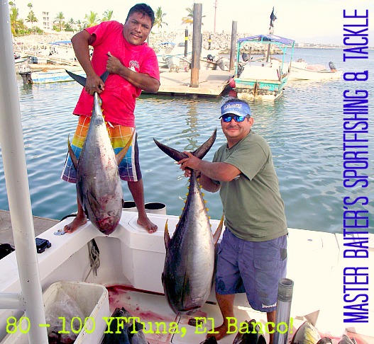 For the moment, who knows how long this will last, but we have mid sized Yellowfin Tuna to large Yellowfin Tuna. It just depends on what´s in the area when you´re there!