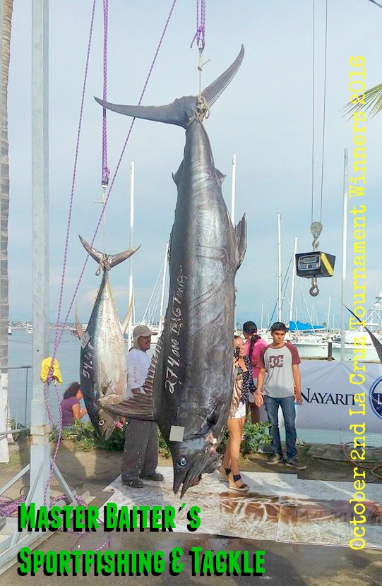 Winning La Cruz Black Marlin at 274 kilos or 600 lbs !