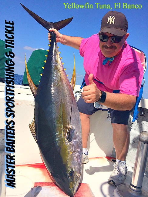 Yellowfin Tuna off El Banco 3 miles to the west of the high spots