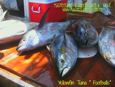 01-05-2017-mexican-footalls-yf-tuna-that-is-good-eat-ing-copy